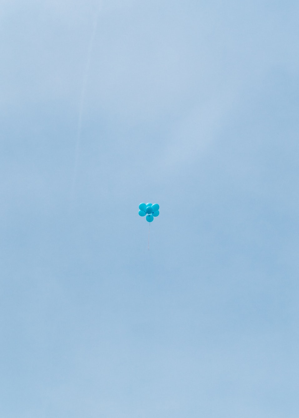 鑫海商贸城繁荣与发展新篇章,最新动态揭示商贸繁荣景象