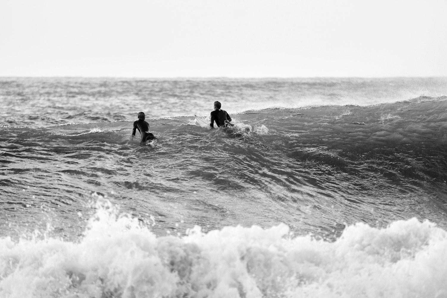 海之谣,深情与冒险的旅程免费观看电视剧