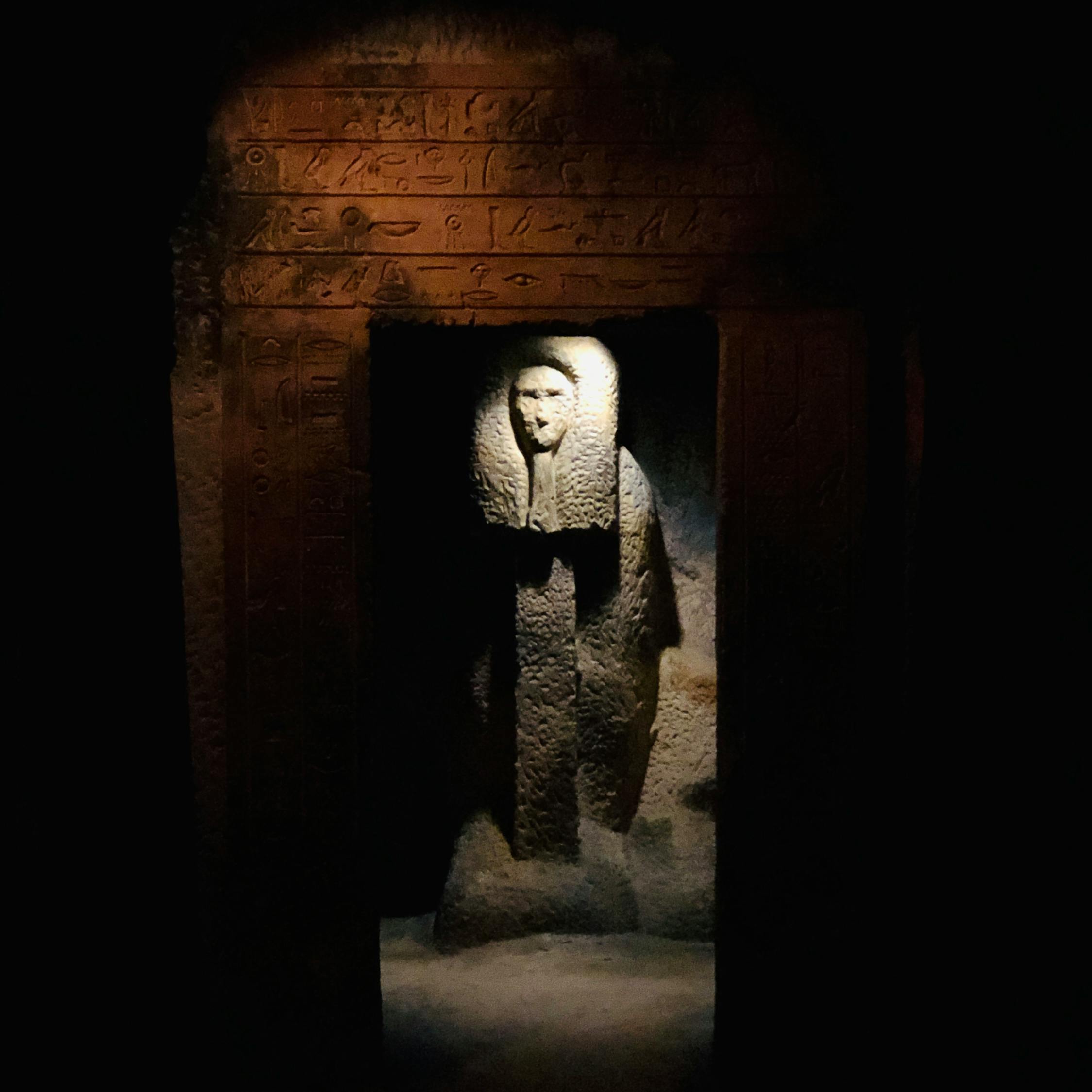 捞尸人最新章节,命运之舟的挑战之旅