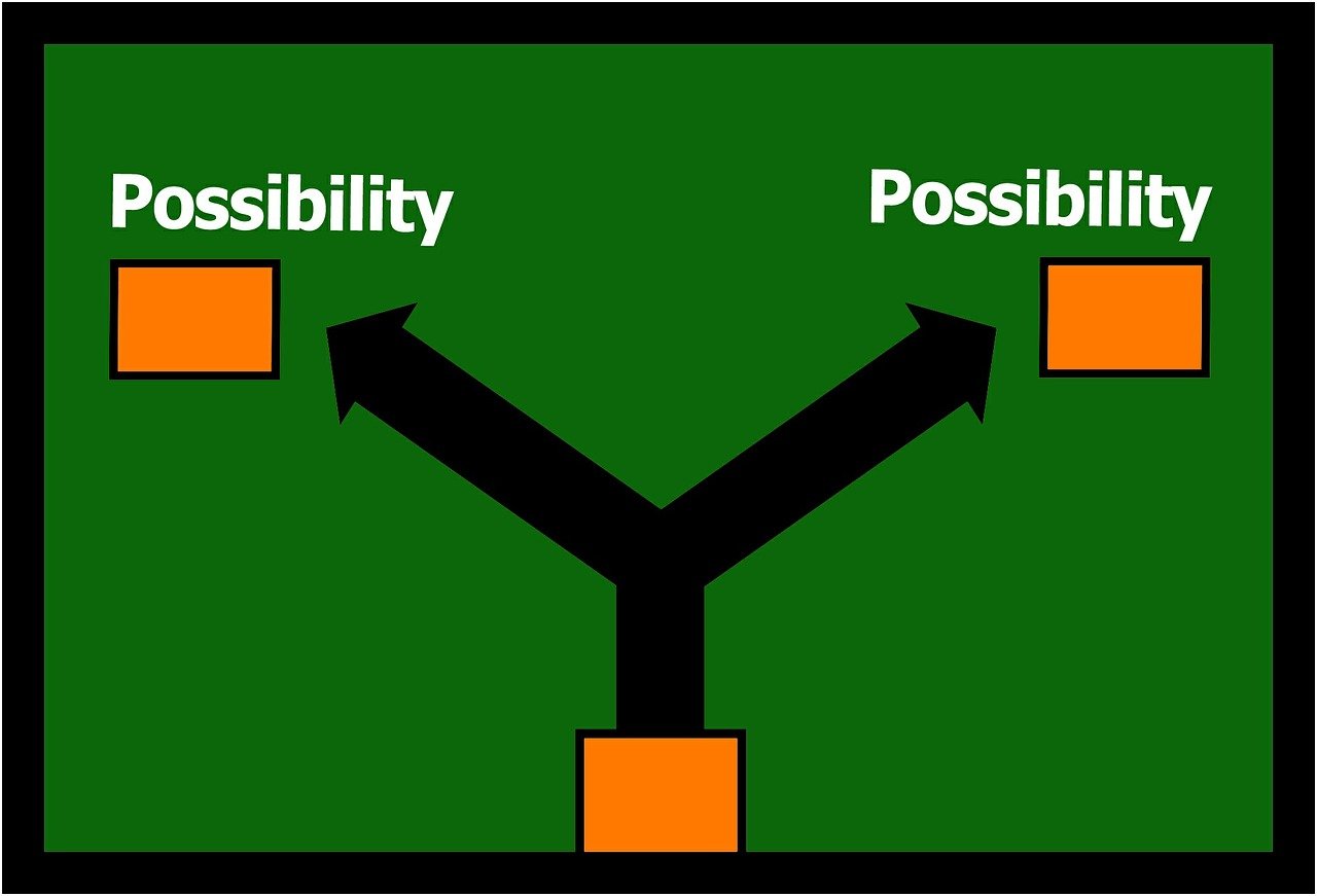最新规定深度解读,影响与启示探析