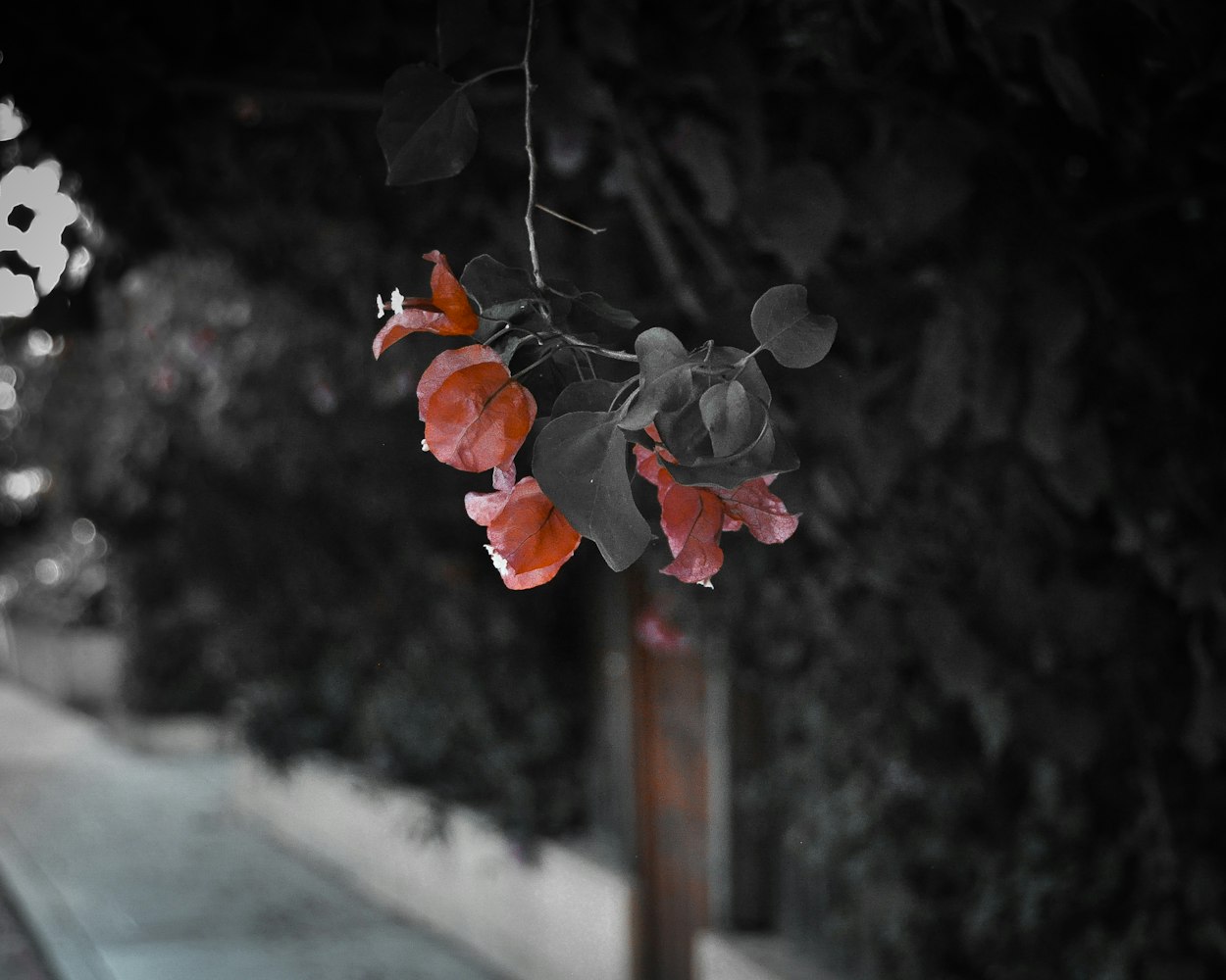 大尺度出轨电影,情感越界的探索与反思