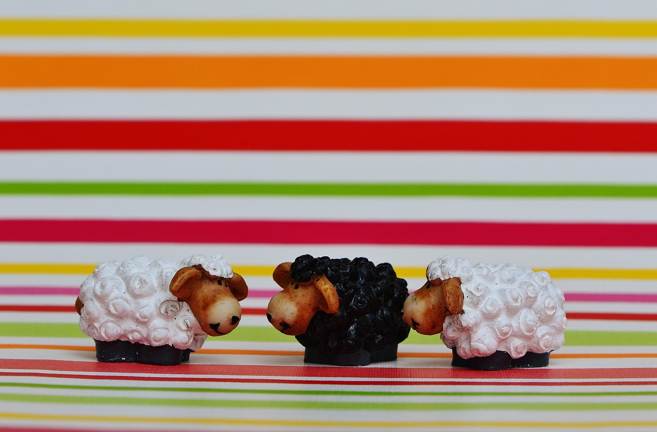 逗比羊新动态,引领欢乐潮流,开启羊界新时代