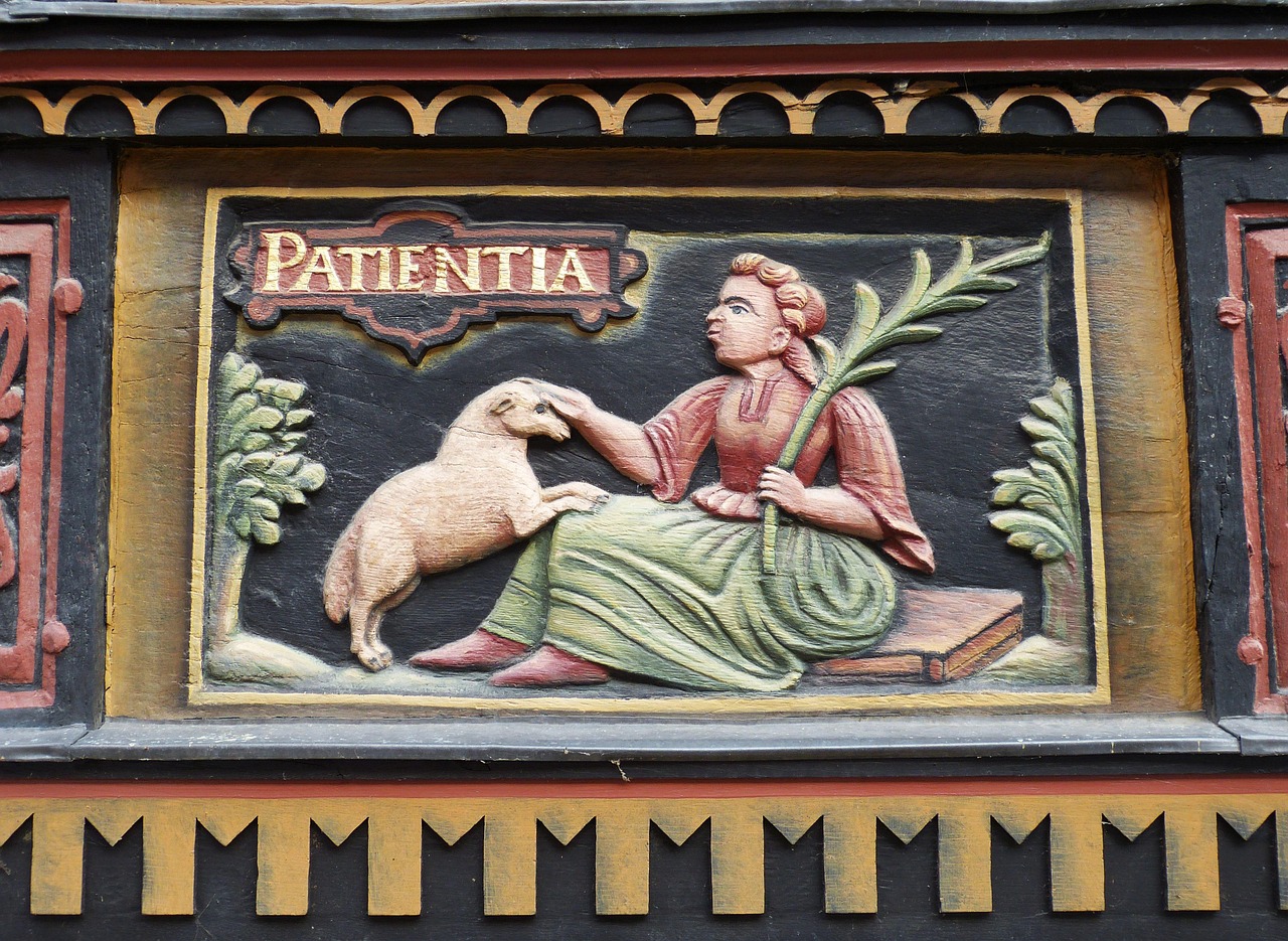 西汉风华,电视剧中的历史印记,共赏17部佳作