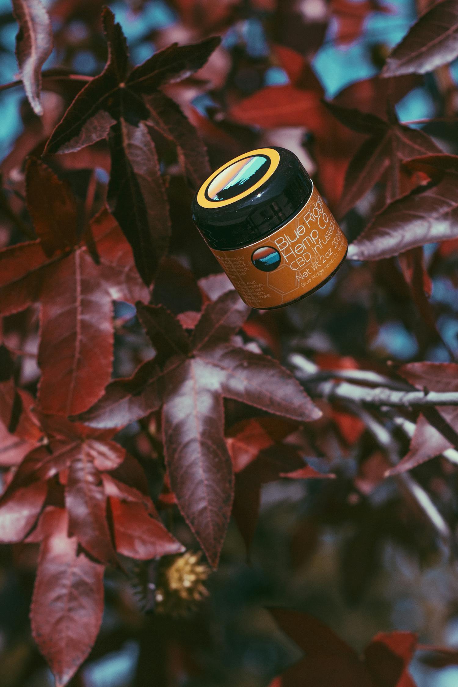 安宁商务区最新动态资讯