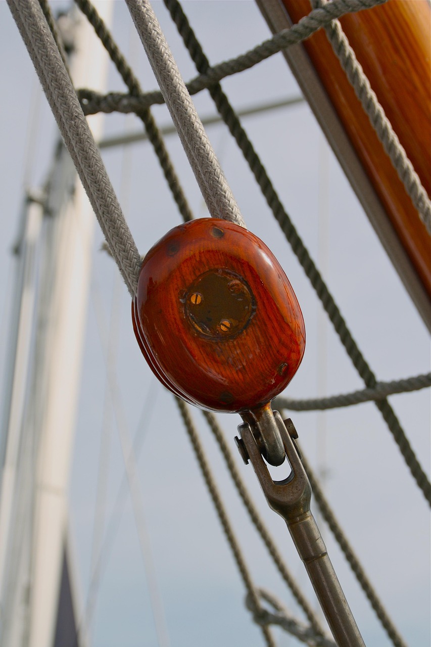 公主邮轮最新资讯,探索海洋之旅的更新动态