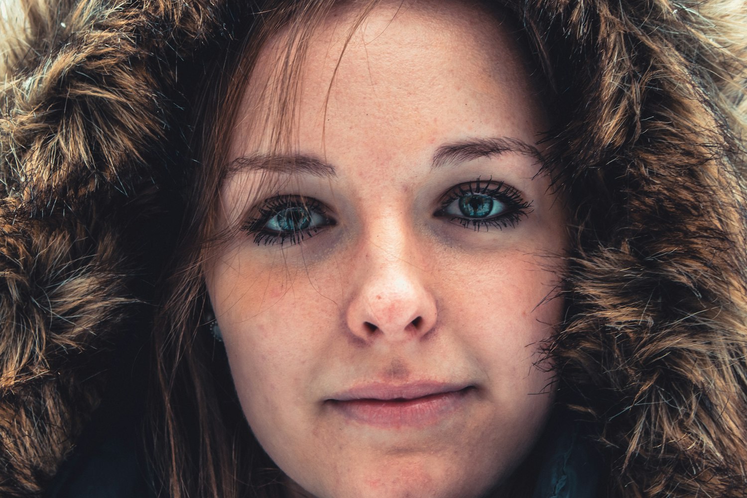 杨丽坤,演艺之路的璀璨之星