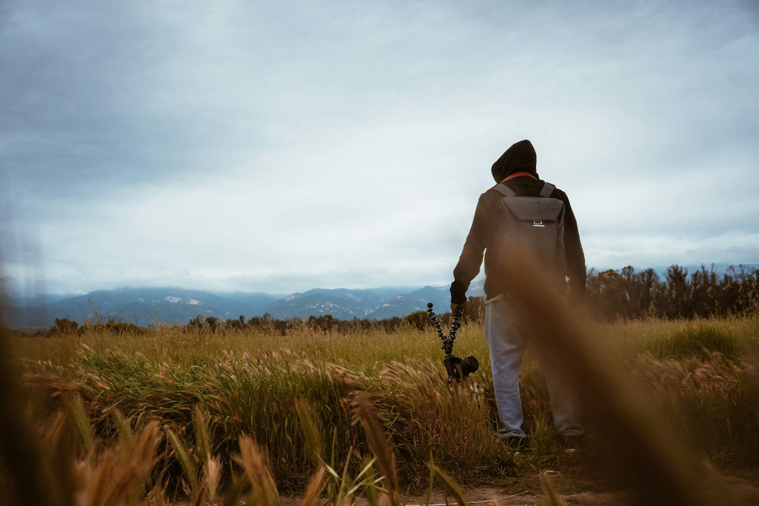 禁忌之恋，情感与社会的交织电影探索