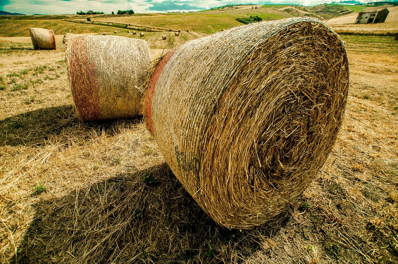 李尔新动态,引领行业变革,塑造未来出行新体验