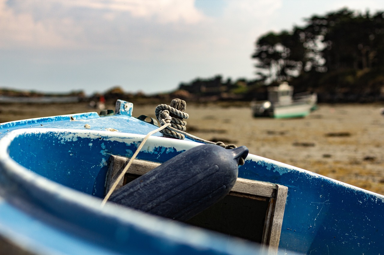 广饶最新疫情动态,全面应对,守护家园安宁安全