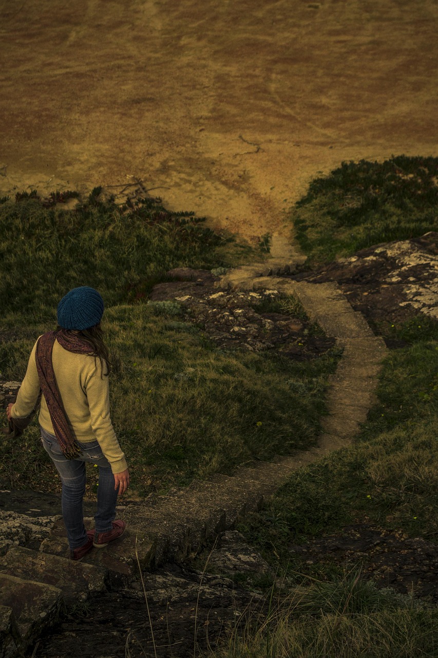 合作社最新动态,创新模式探索与持续发展路径展望