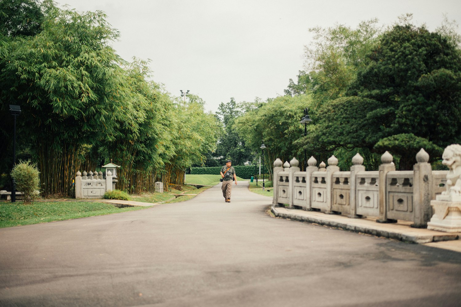 安阳中华园最新动态更新,最新资讯速递