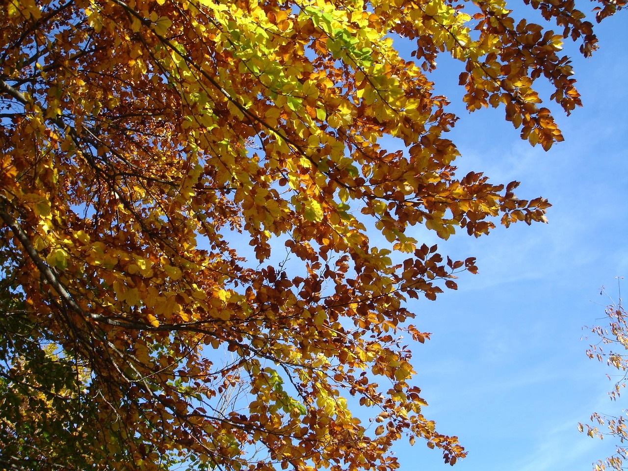 李亚鹏新恋情动态，走出阴霾，拥抱新生活之旅