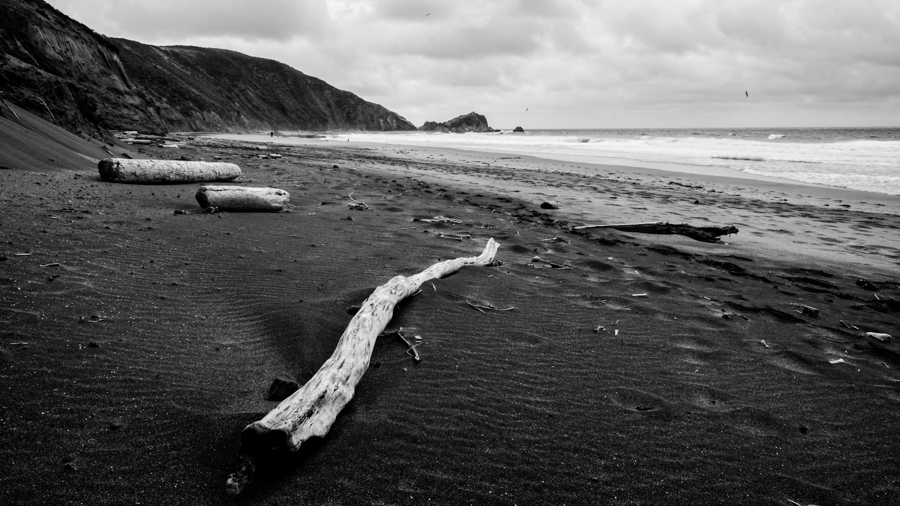 电影鲨滩,人与自然的博弈,生存的终极挑战
