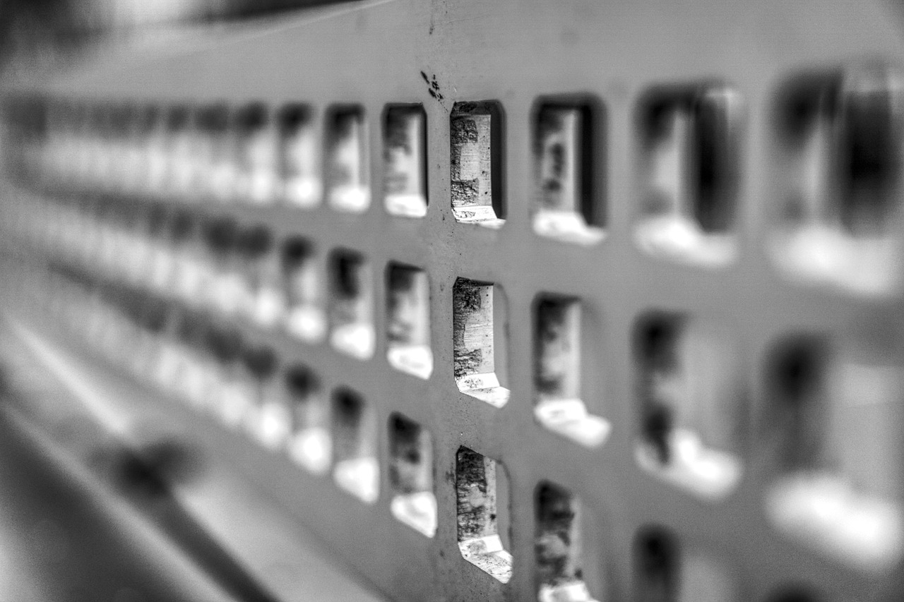 樊振东持续闪耀乒坛,最新动态揭秘乒乓球巨星风采