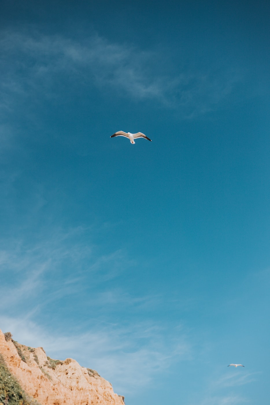 大王镇出租房信息更新，最新动态与优势探索