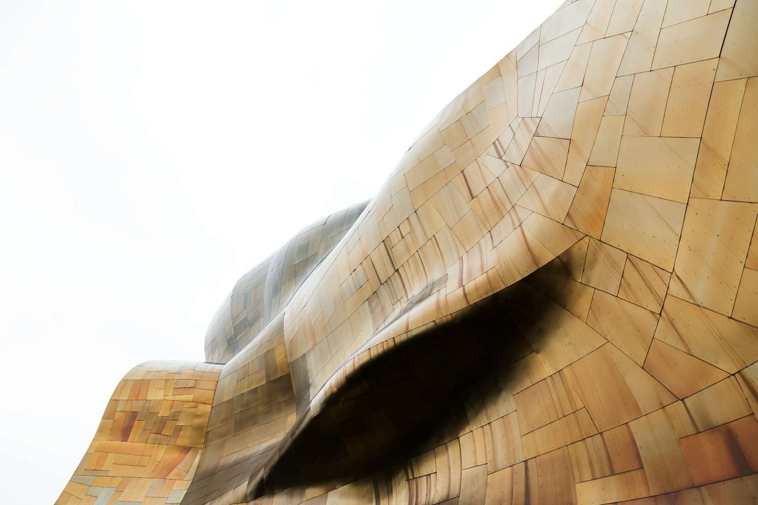 流行文化新宠儿，明星火爆动态表情包