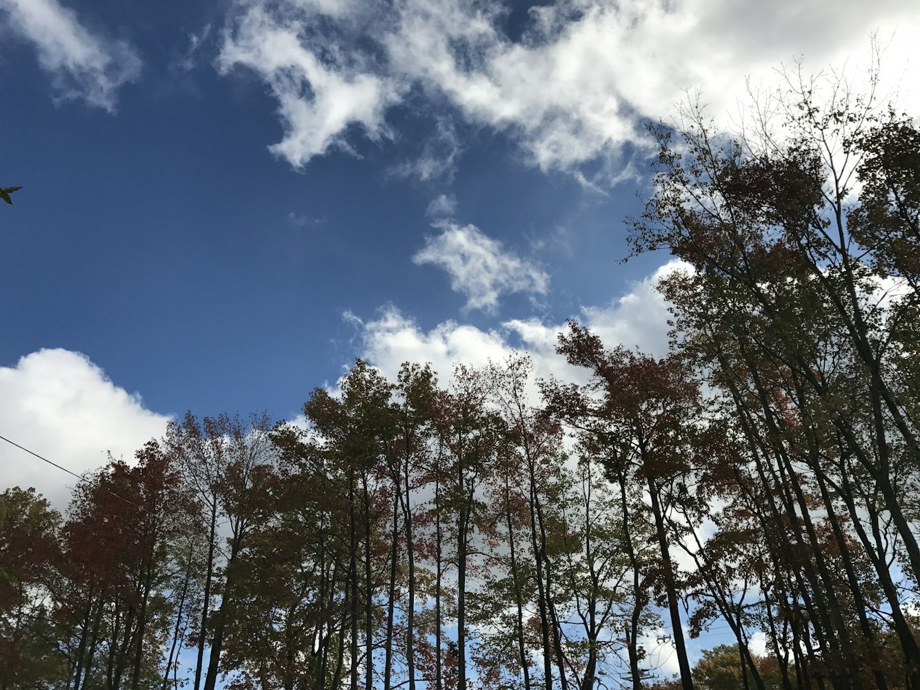 动漫景物壁纸,美化空间的视觉盛宴