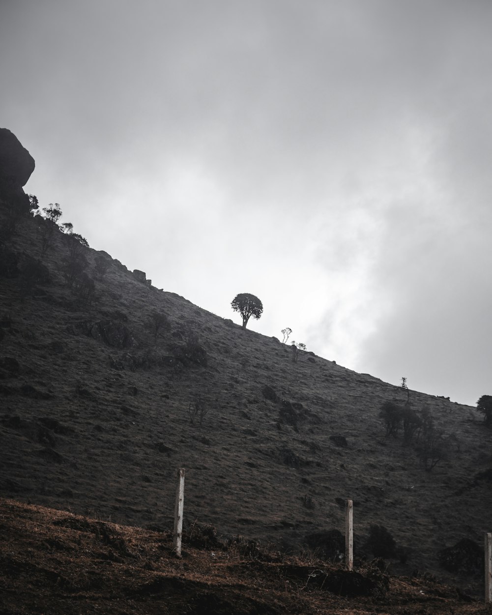 大名县最新动态，县域经济蓬勃发展的崭新引擎