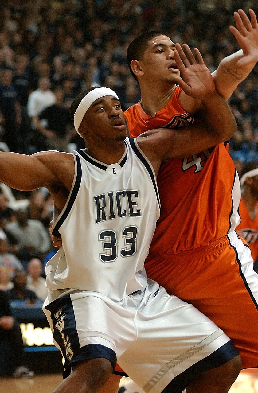 一级战备最新动态深度解析及前瞻