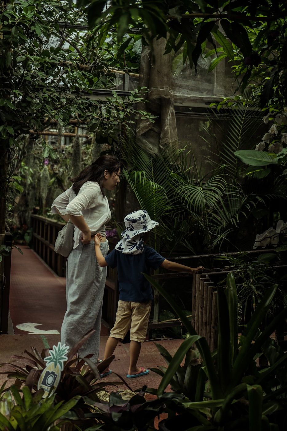 韩国君子好逑电影，情感与文化的交融之美探索