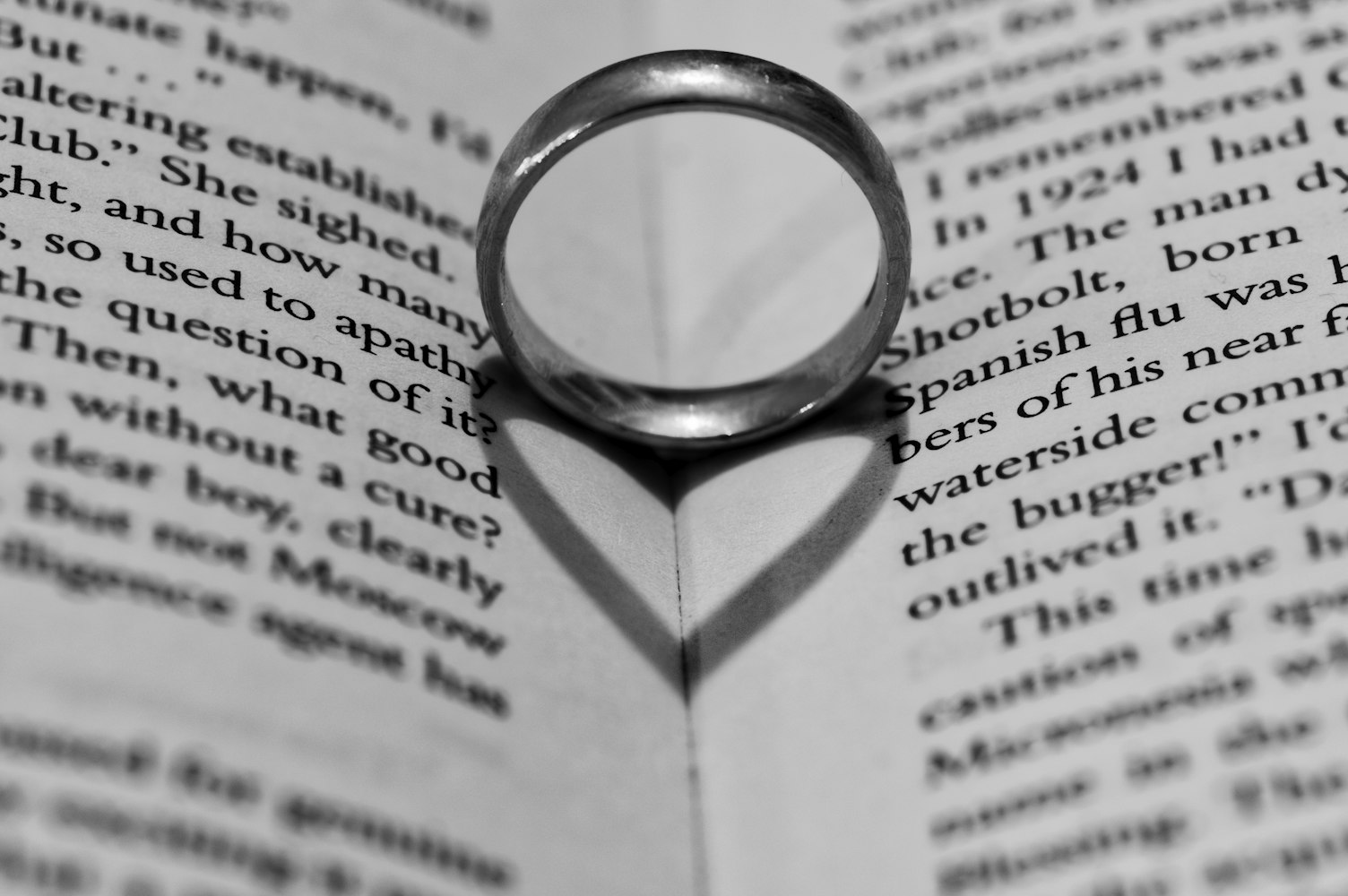 全国三行情书冠军背后的情感力量与智慧表达之道