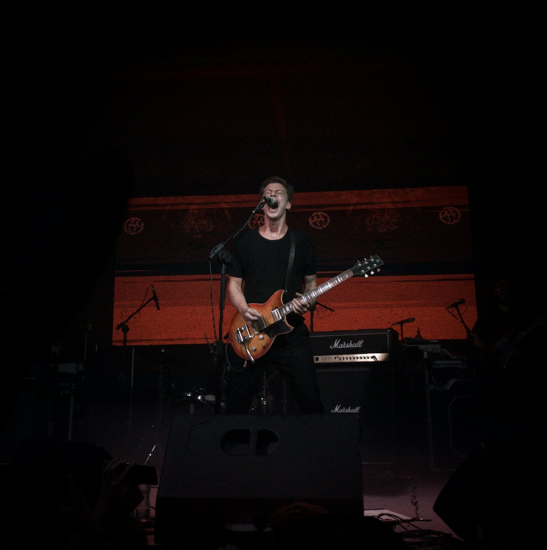 戛纳明星璀璨闪耀,照亮世界电影舞台的光辉之力