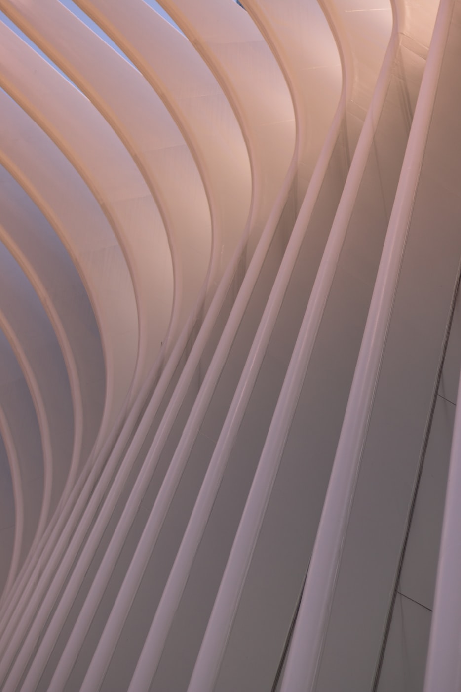 青岛封城最新动态分析简报