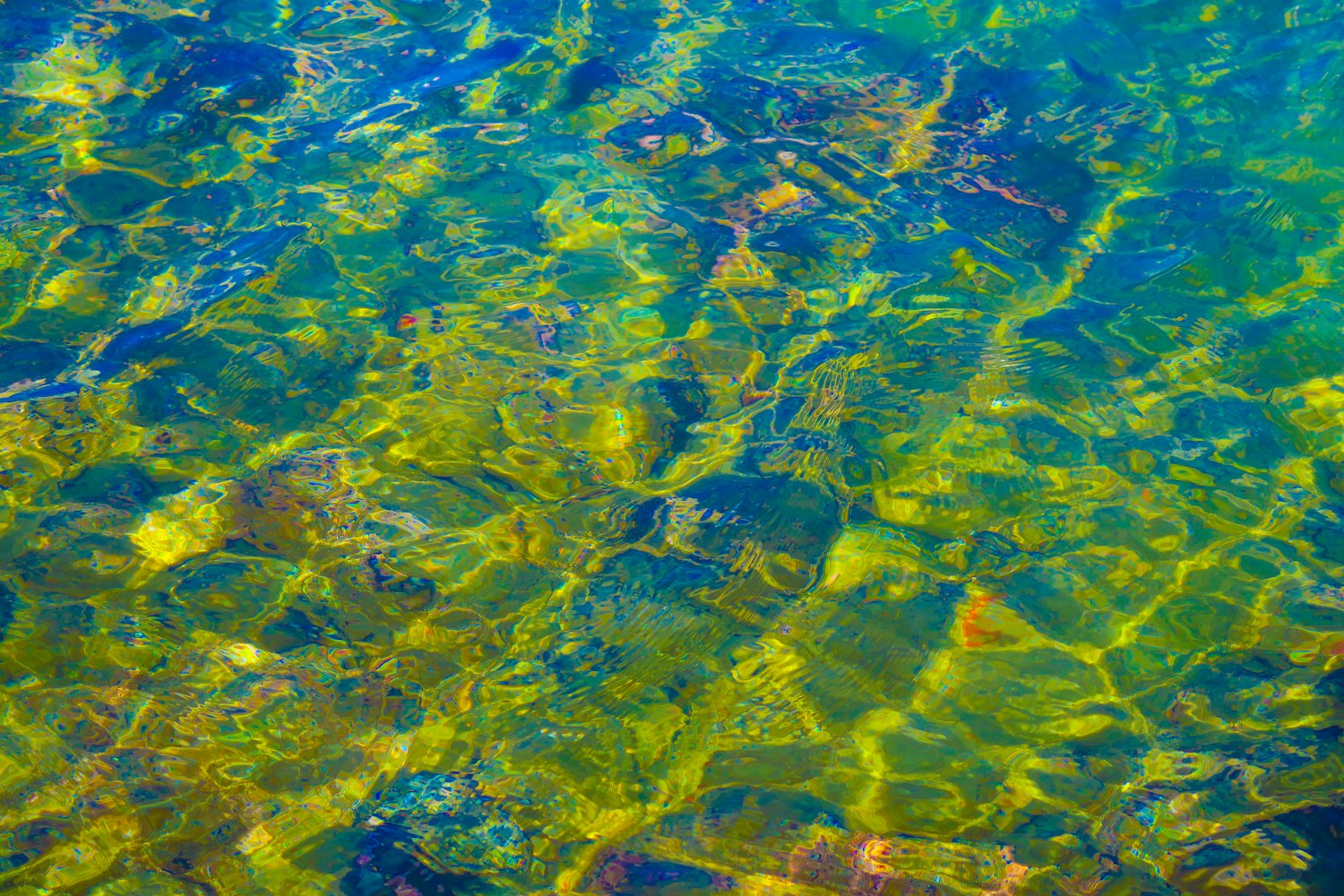 联通混改员工动态深度解析,最新进展与前景展望