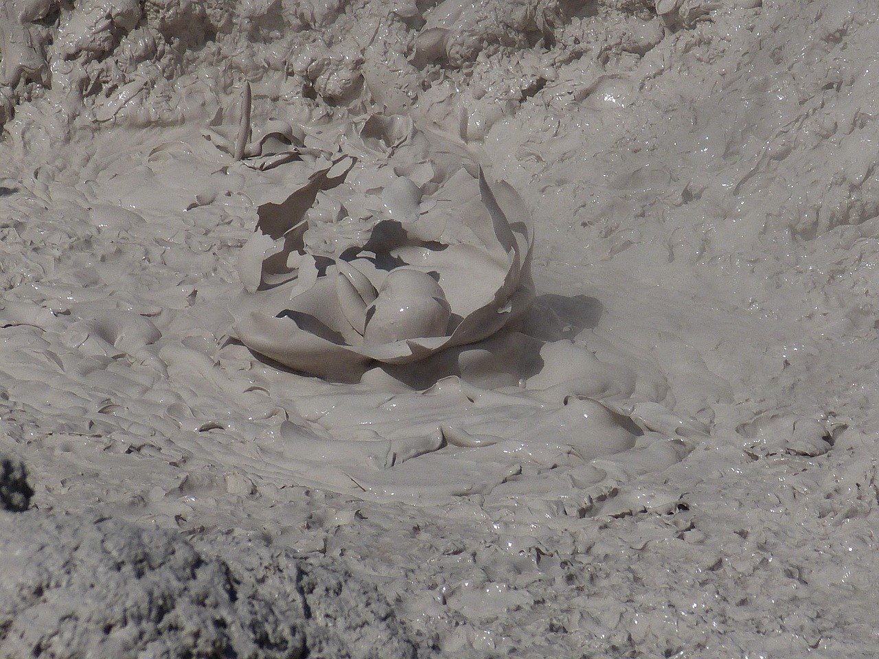 巴州区罗章国最新动态,先锋力量引领发展之路