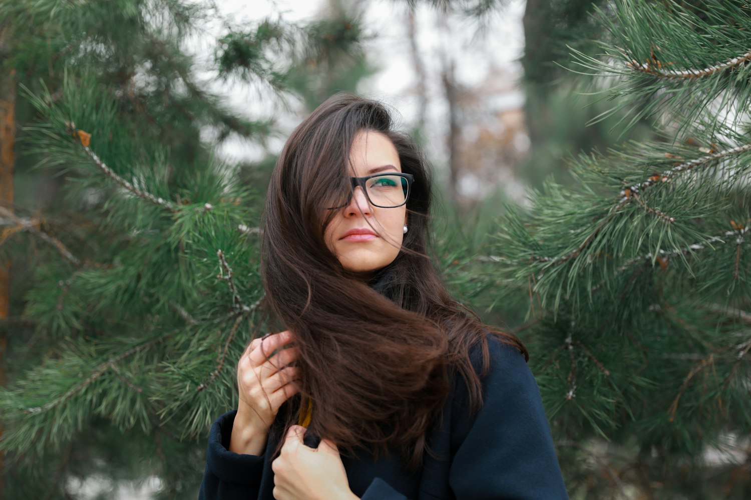 暮光之城2,璀璨星辰下的演员阵容揭秘