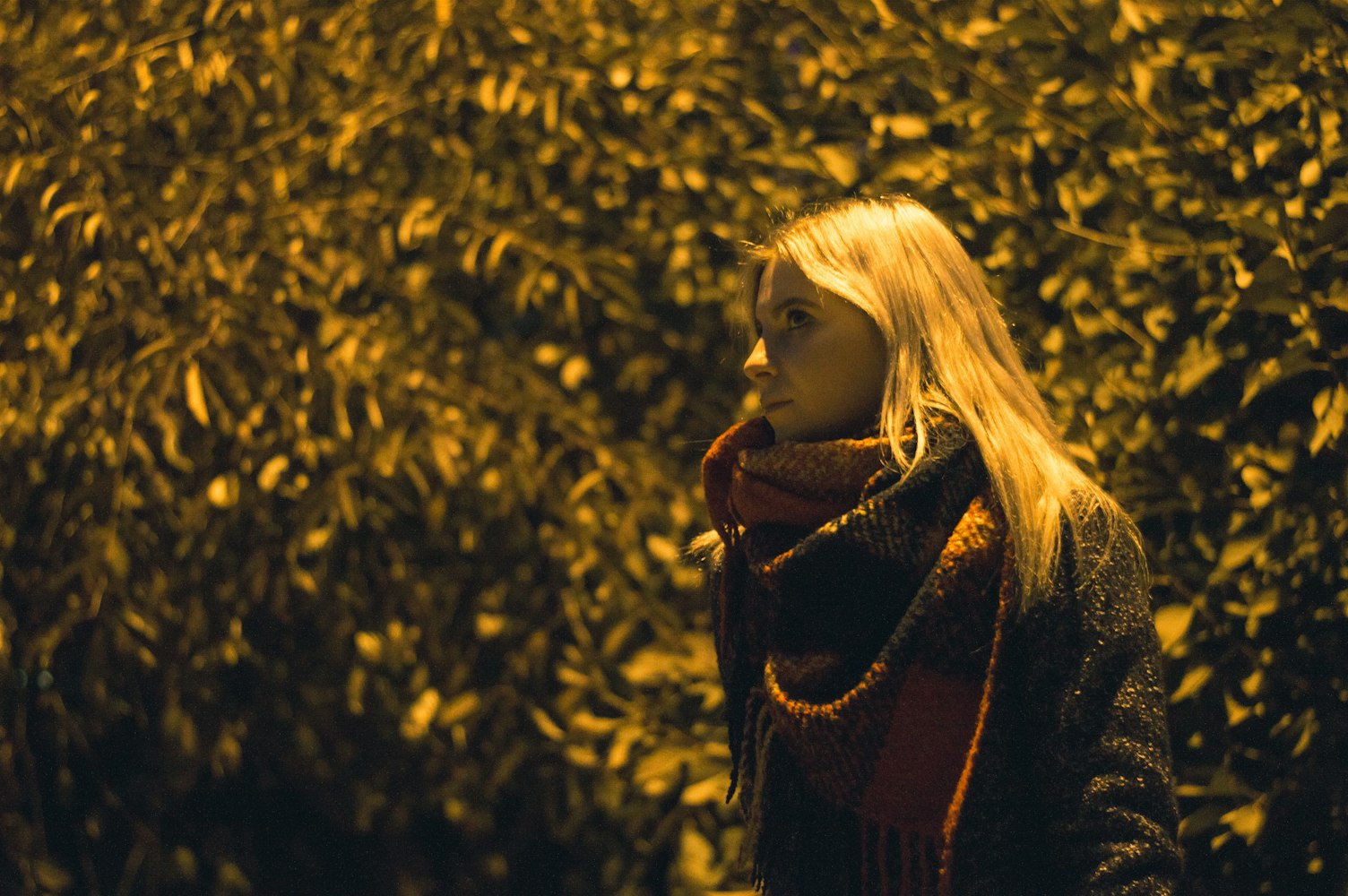 暮光之城2,璀璨星辰下的演员阵容揭秘