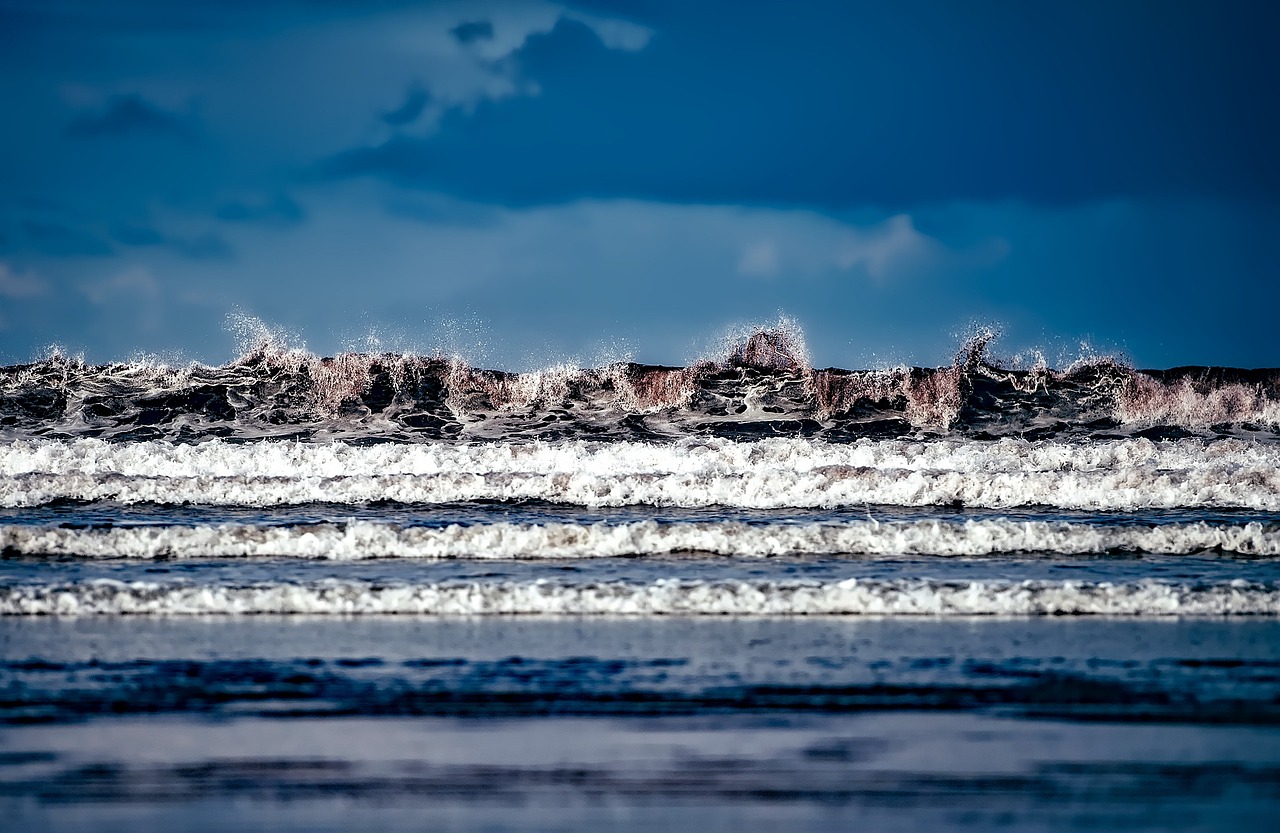 三垟湿地搬迁最新进展更新通知