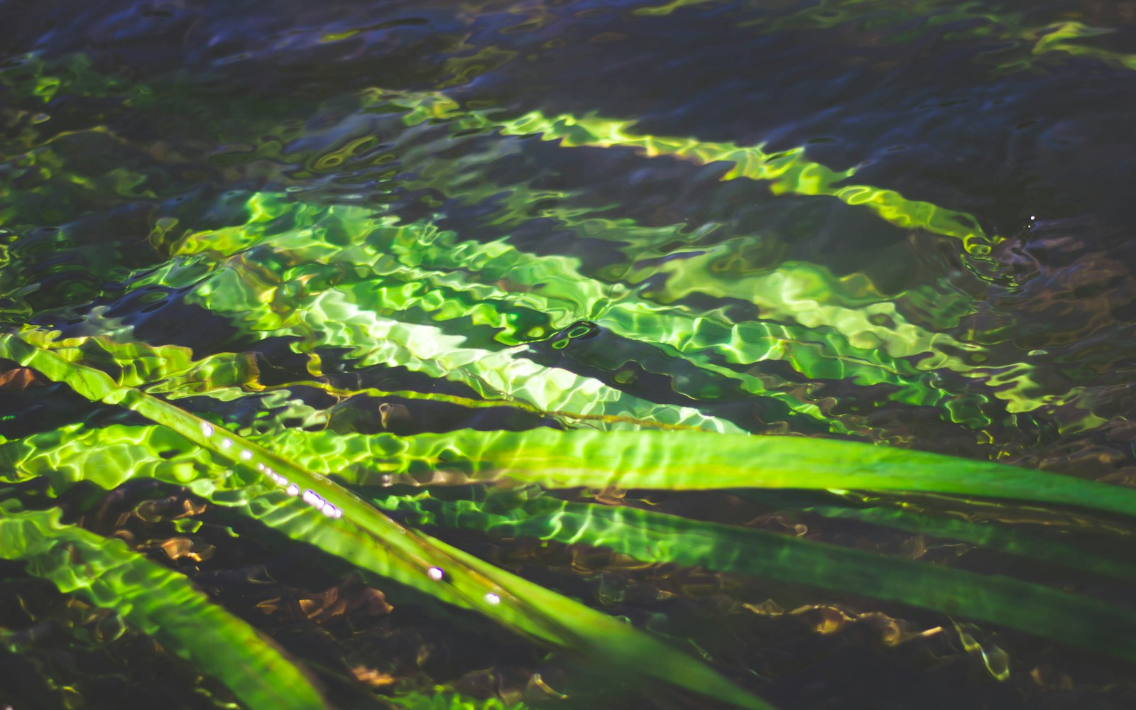 花都玉少许容新章节，自然与人文的交融之美