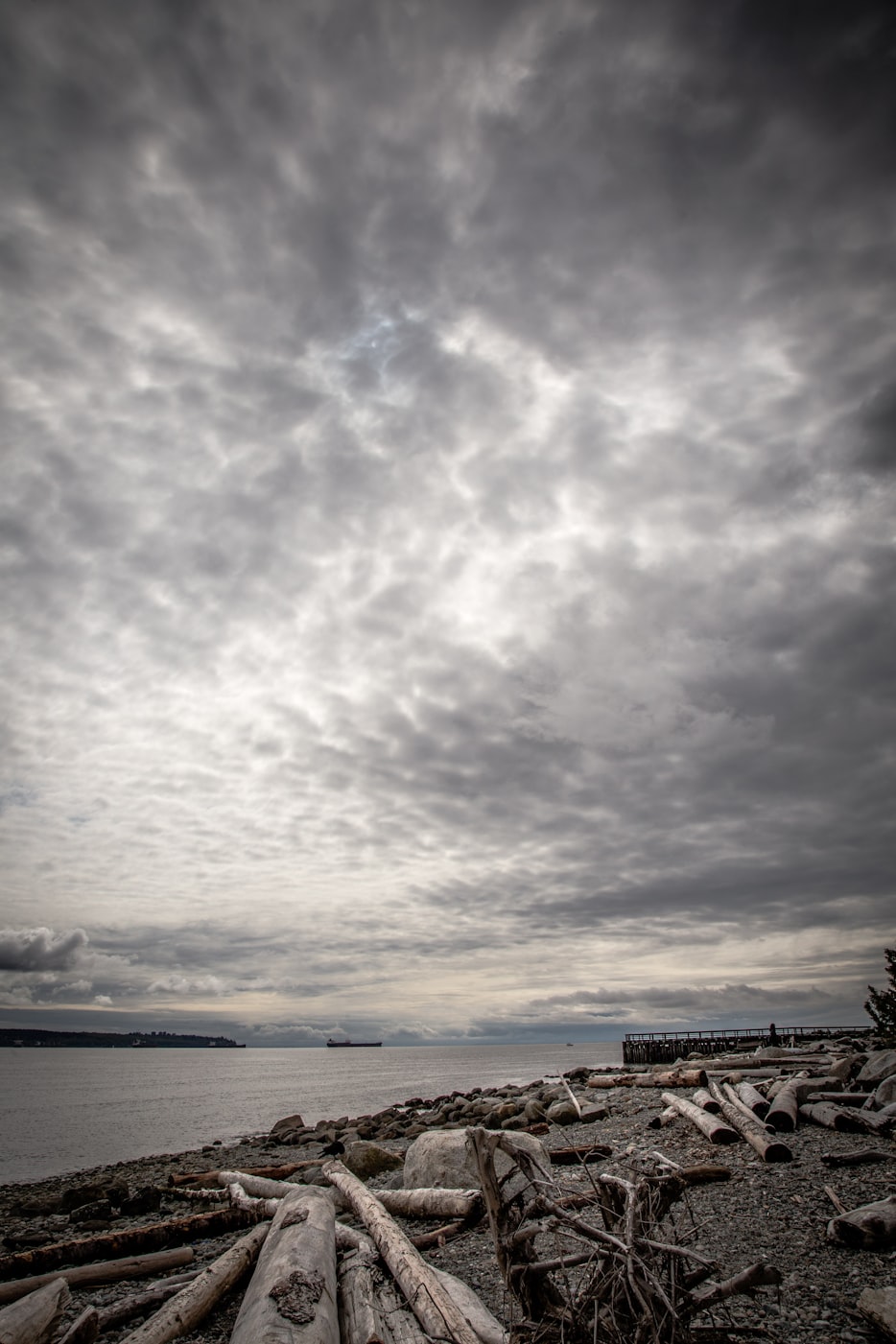 加拿大范博乔最新动态揭秘,前沿科技与生活融合的新篇章探索