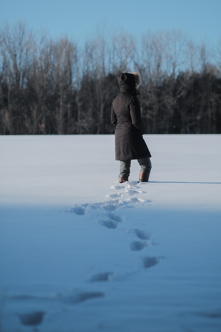 加拿大范博乔最新动态揭秘,前沿科技与生活融合的新篇章探索