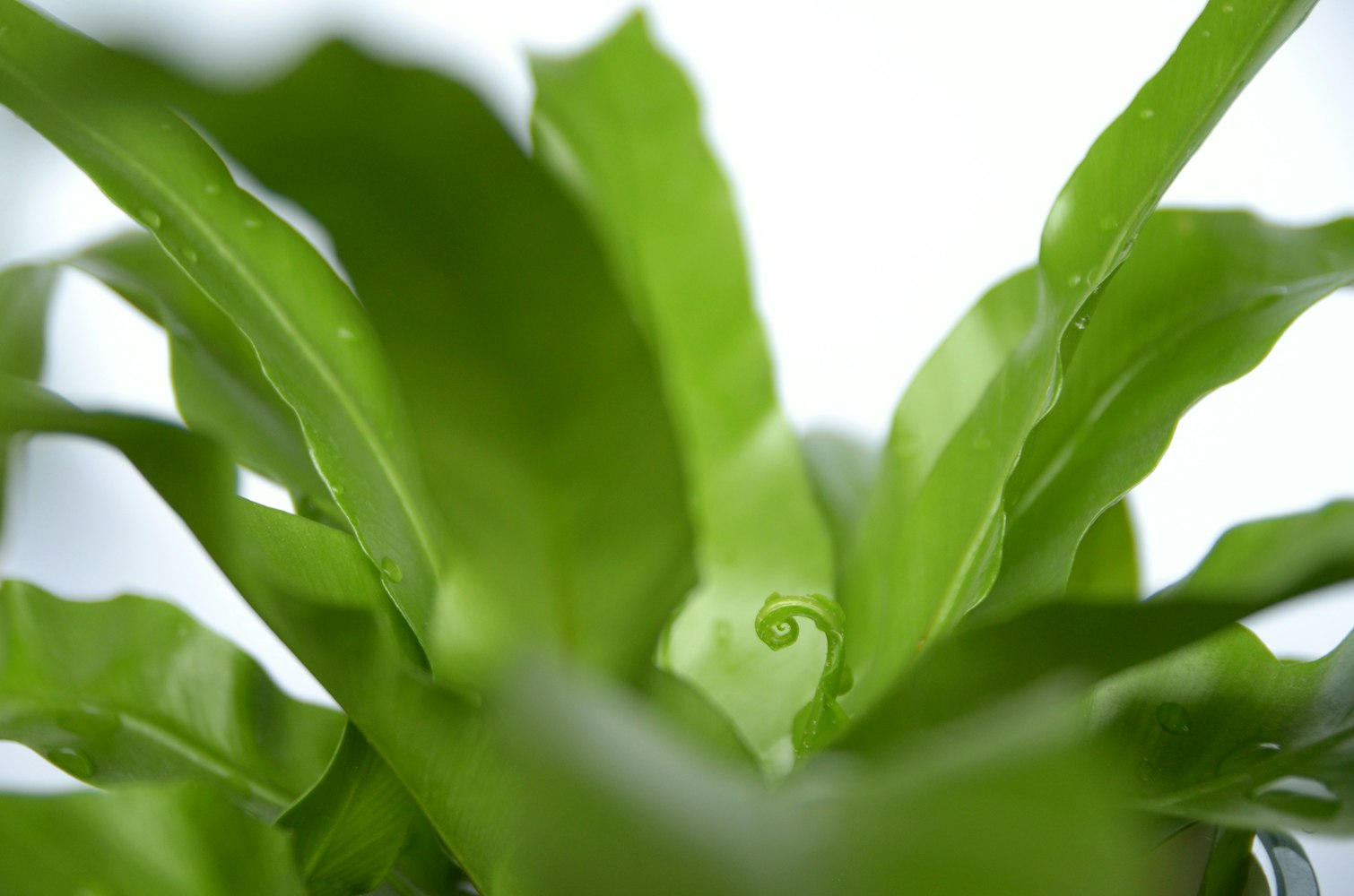 好先生新动态揭秘,现代都市情感与生活的新篇章探索