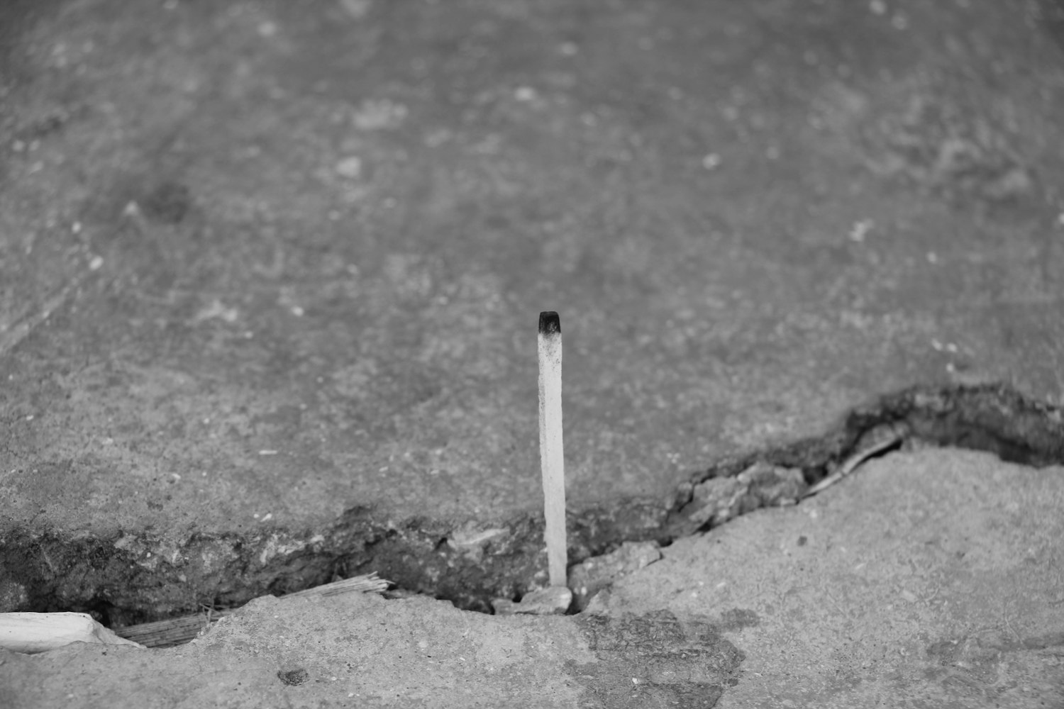 火柴网资讯更新，深度解读行业最新动态与趋势