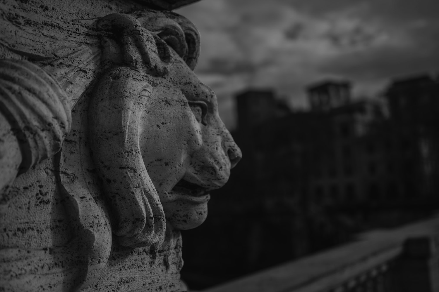 乱理电影的魅力与独特之处探究