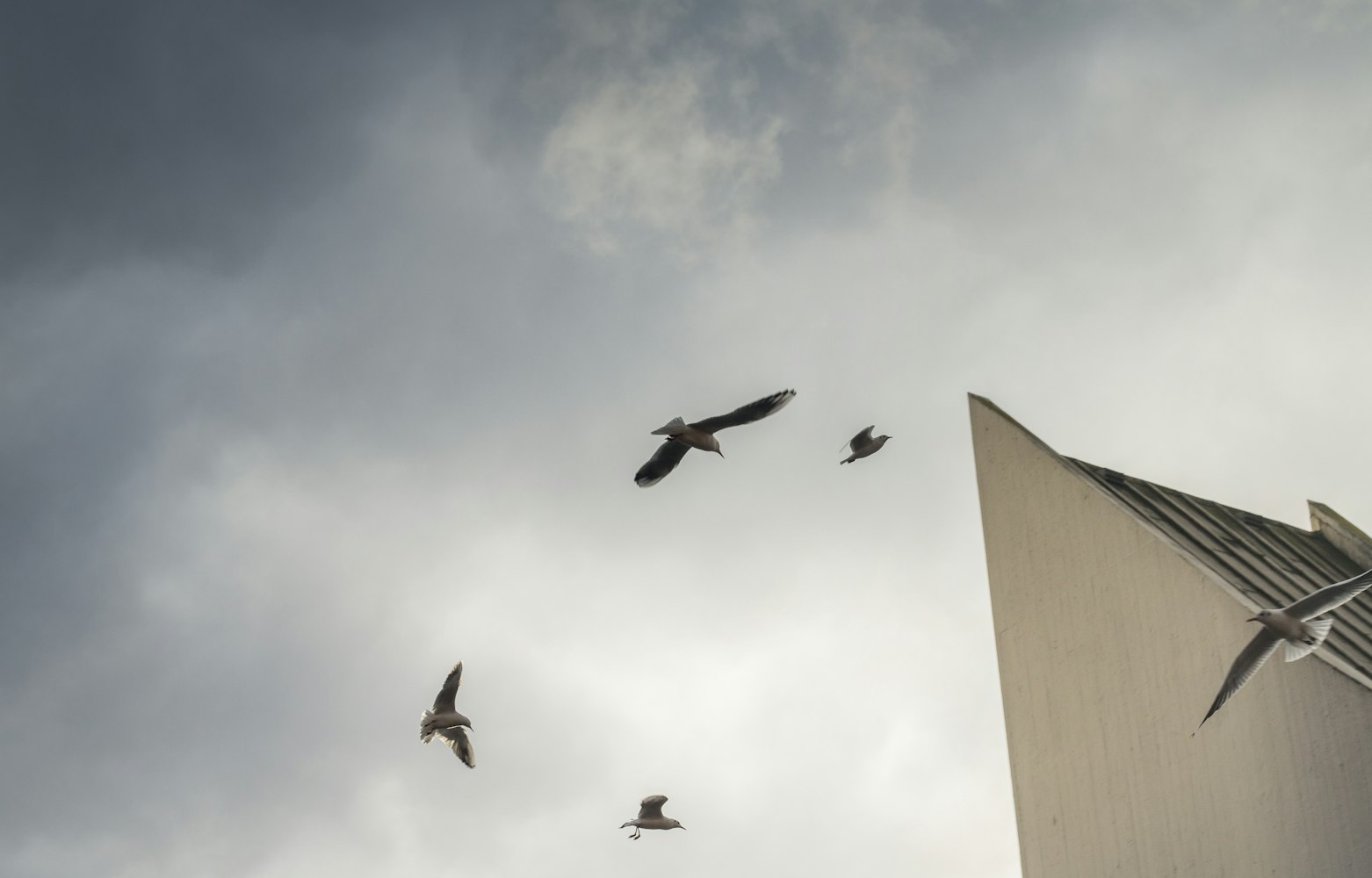 股票市场的火箭发射,探索与机遇的旅程