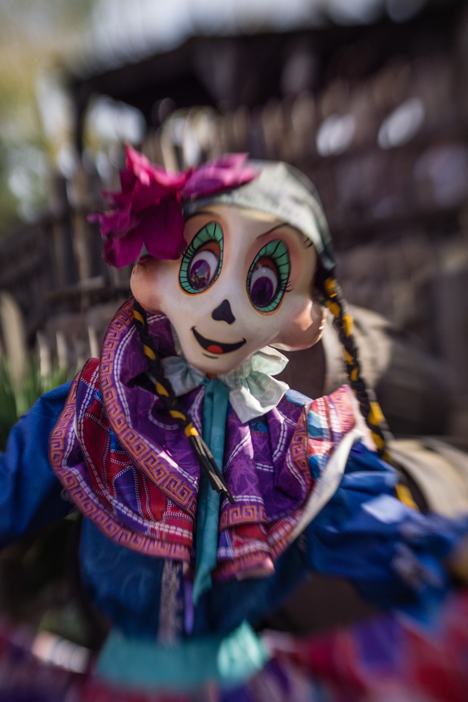 迪士尼最新电影,奇幻之旅的新篇章探索