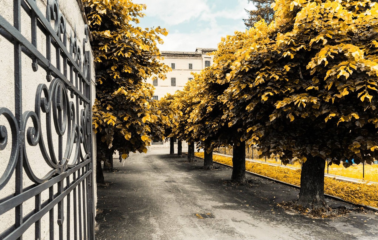 最新校园设施塑造现代化教育环境新篇章