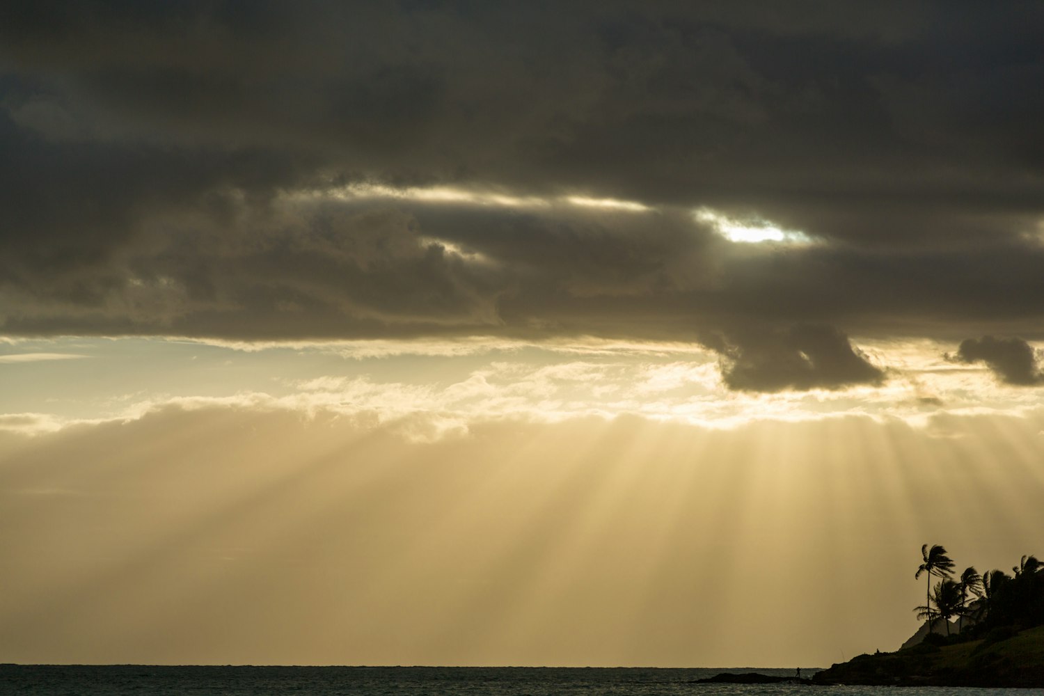 晨研新照,探索未知的曙光之美