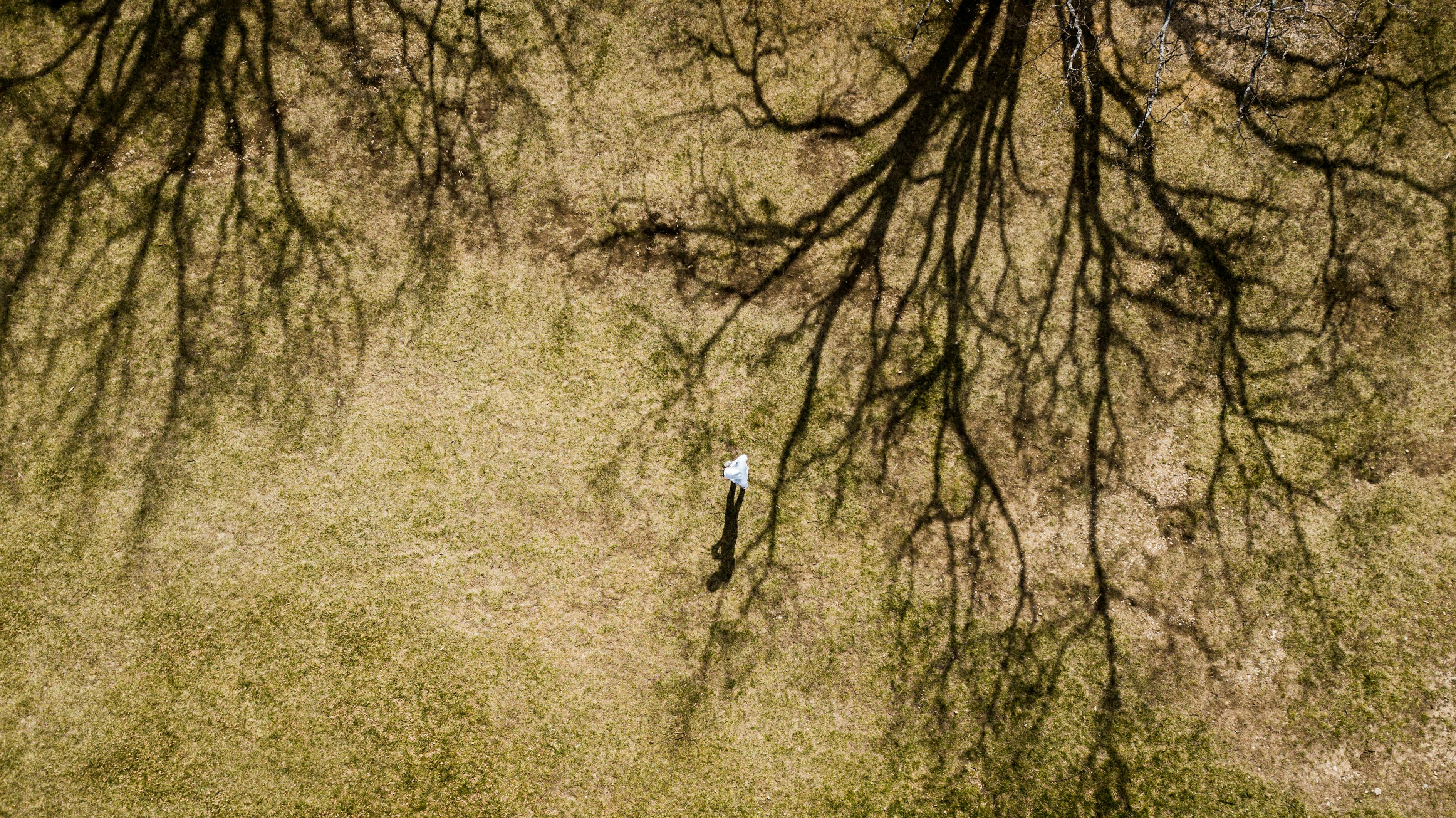 探索新闻前沿,掌握资讯动态——头条最新头条资讯速递