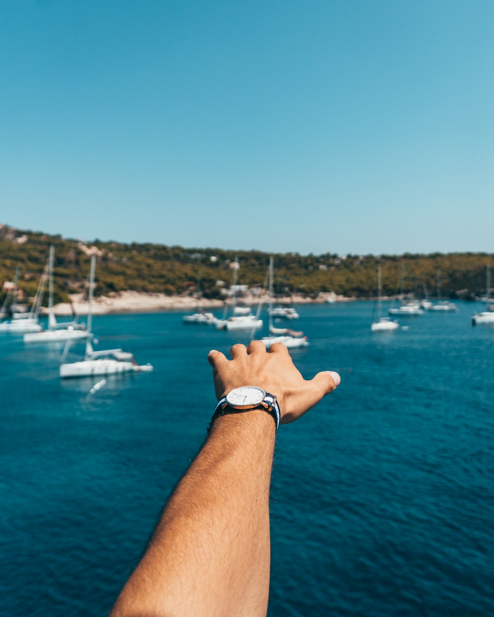 美国EB-5移民资讯更新,最新动态、影响分析与趋势展望