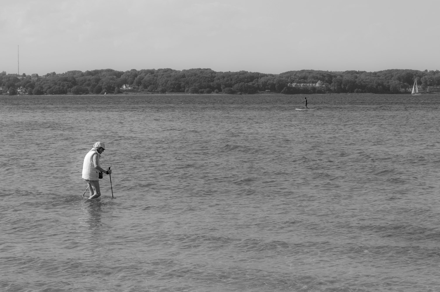 美国EB-5移民资讯更新,最新动态、影响分析与趋势展望