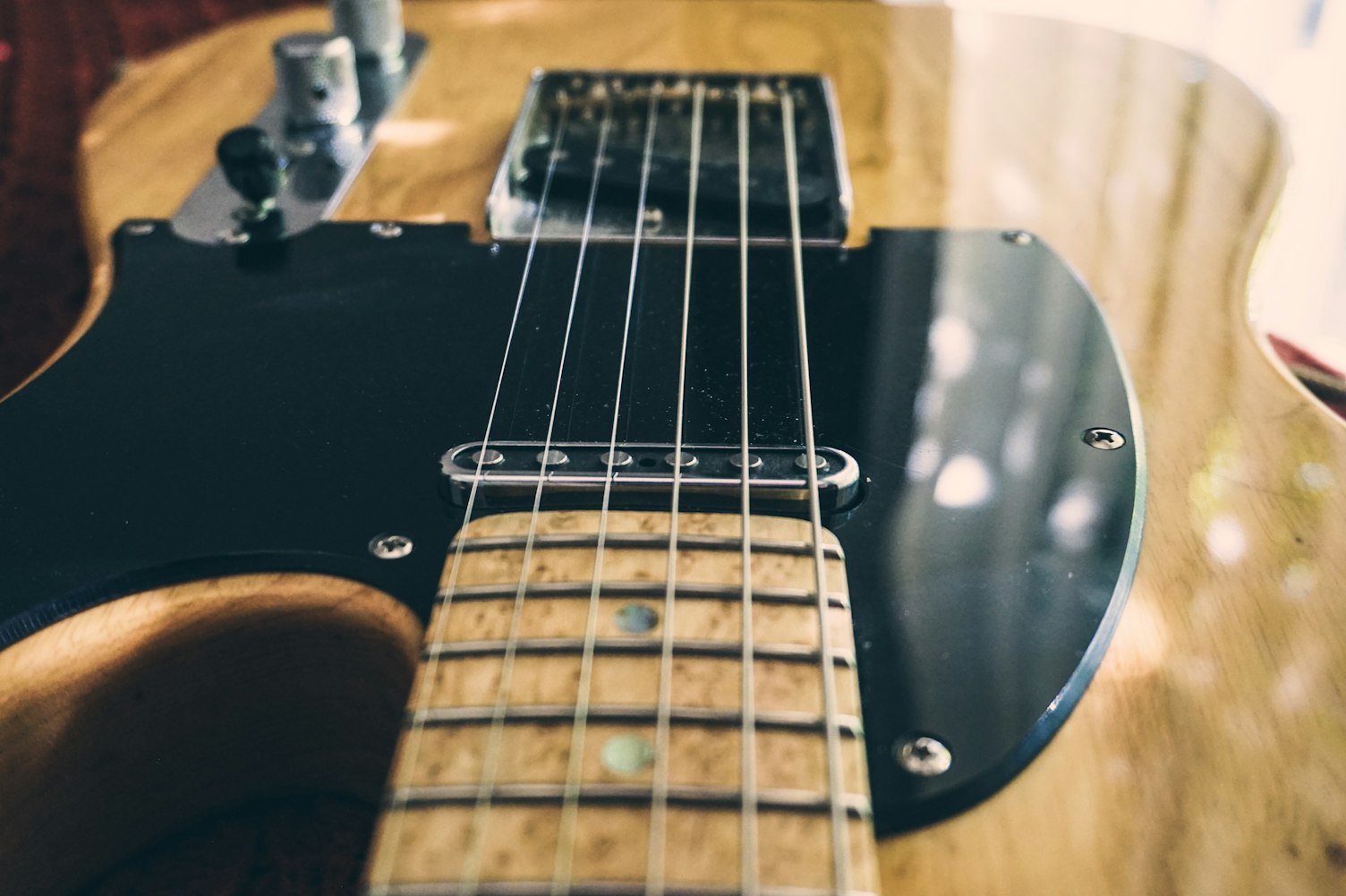 国际吉他大赛，音乐盛宴，激情燃烧