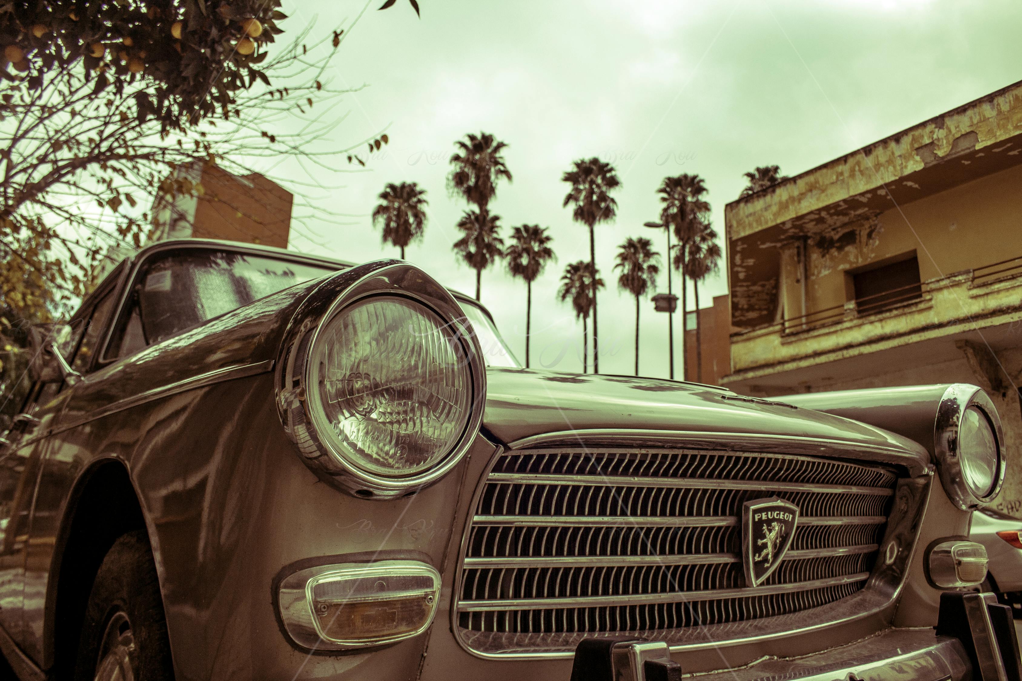 棉万高速动态，引领新时代的交通革新之路