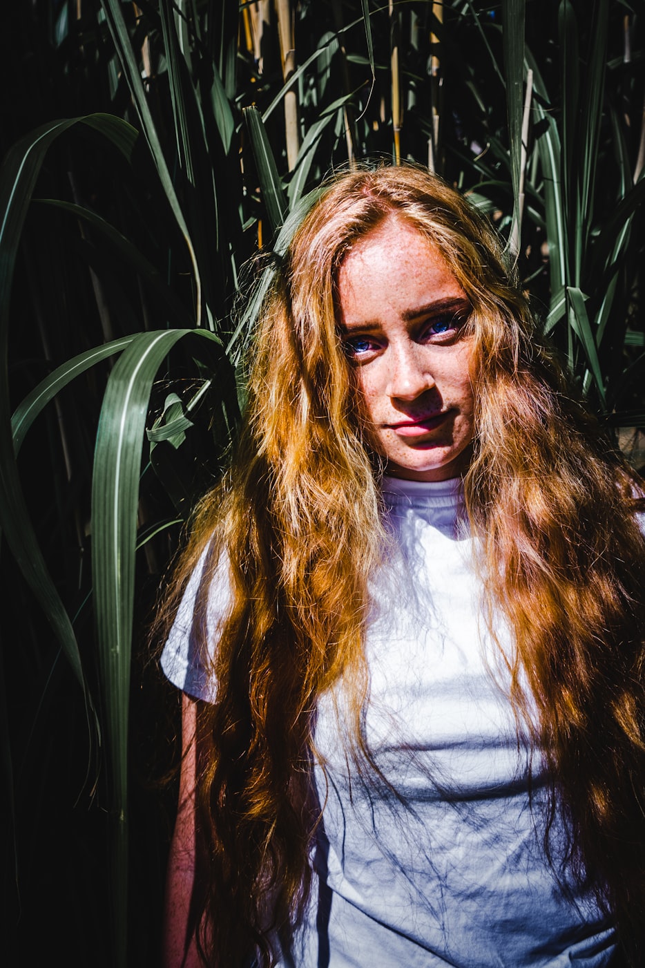 胸明星,娱乐圈中的璀璨魅力之星