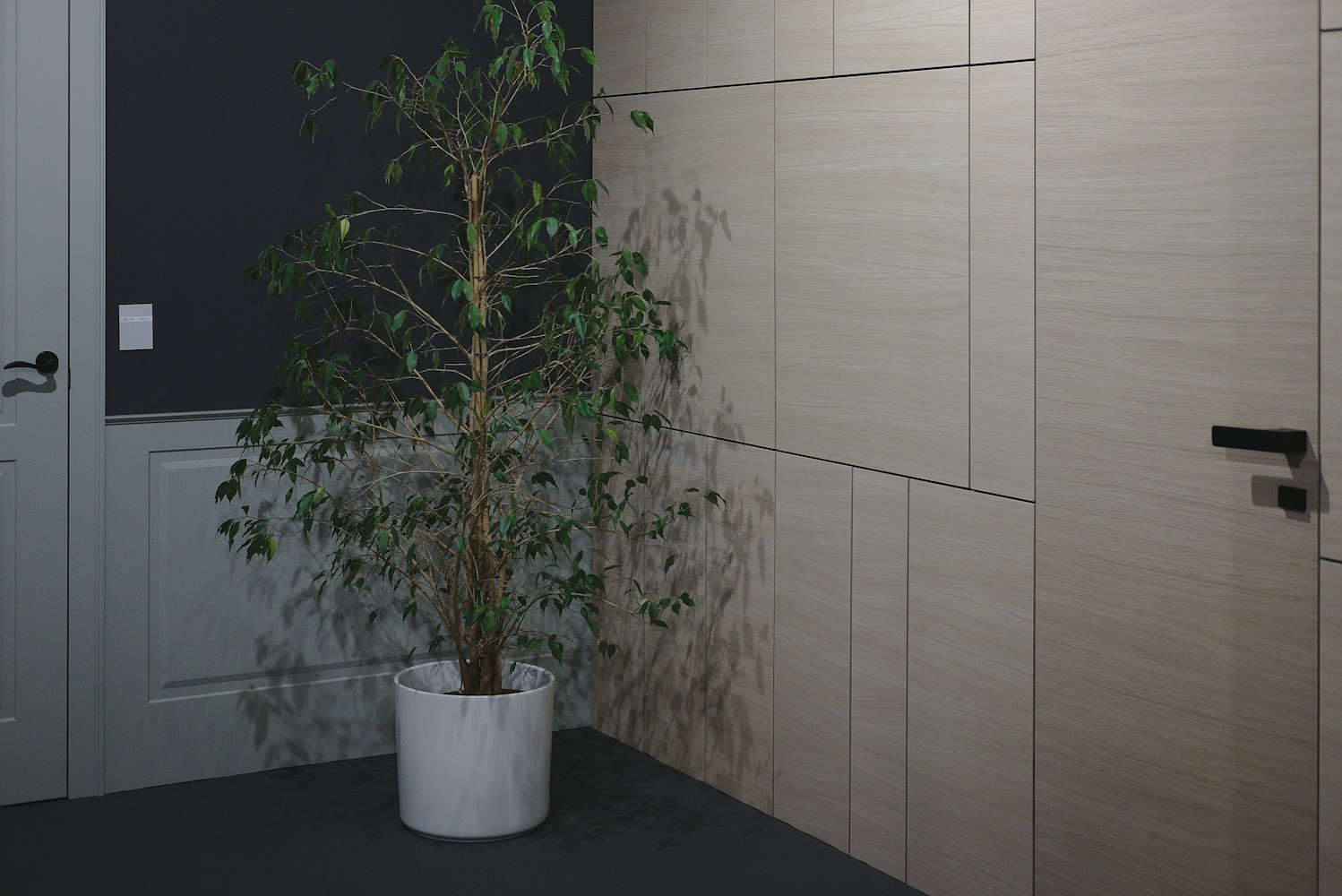 最新时尚衣柜门，设计趋势与选择指南