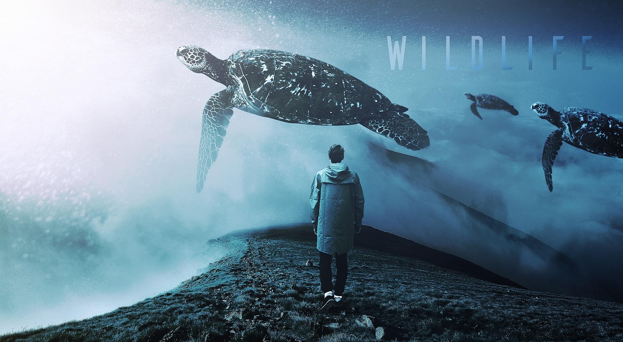 日本动漫剧的魅力与深远影响